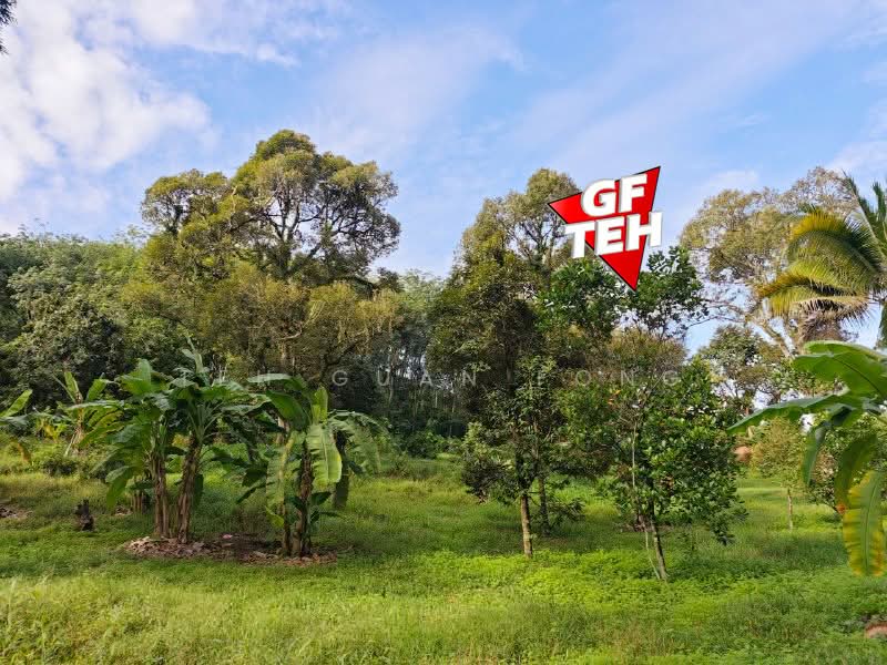 Tanah Pertanian untuk Dijual di Bukit Mertajam (Penang) - Teh Guan Fong - Garden - PropertyGuru.com.my