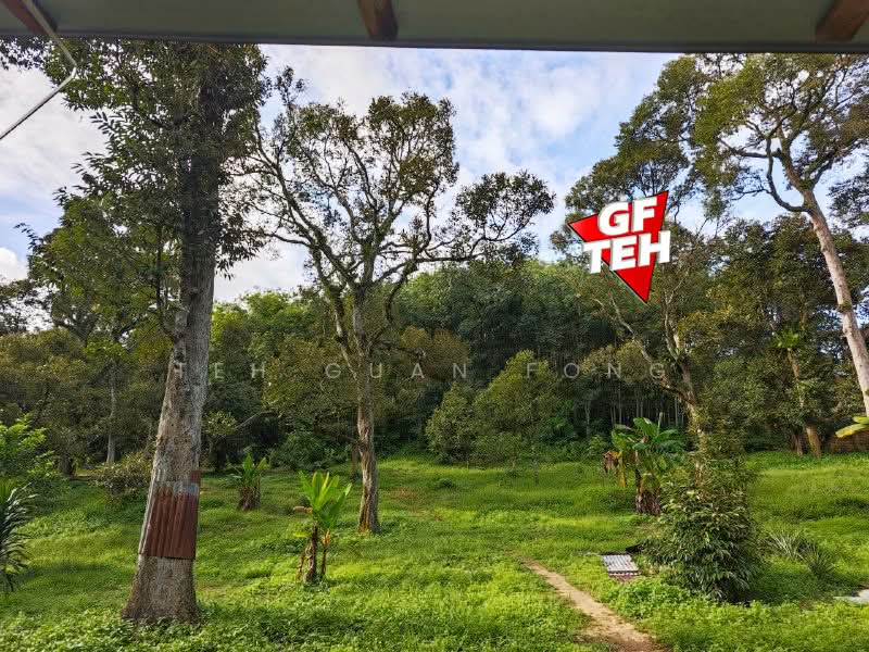 Tanah Pertanian untuk Dijual di Bukit Mertajam (Penang) - Teh Guan Fong - Exterior - PropertyGuru.com.my