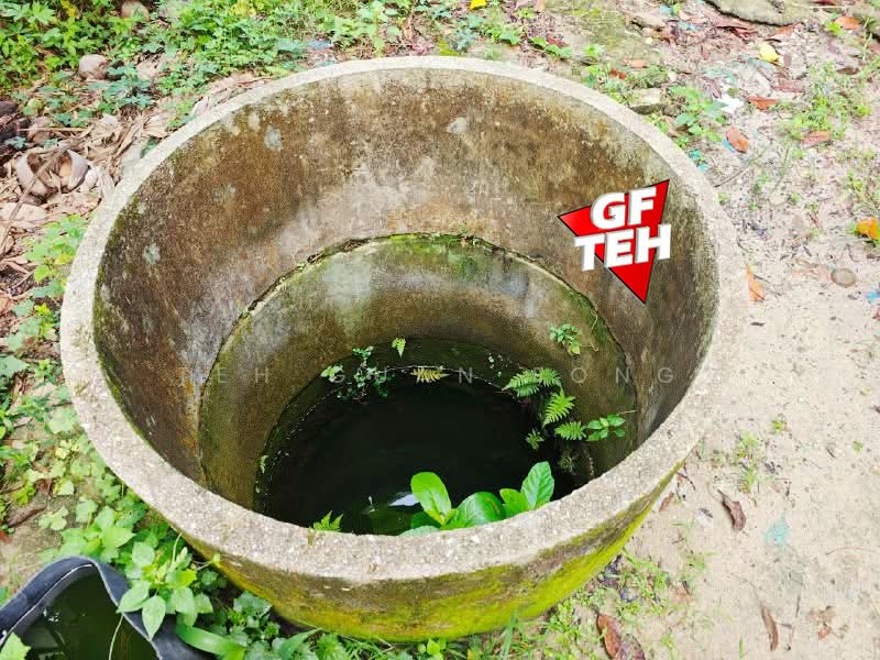Tanah Pertanian untuk Dijual di Bukit Mertajam (Penang) - Teh Guan Fong - PropertyGuru.com.my