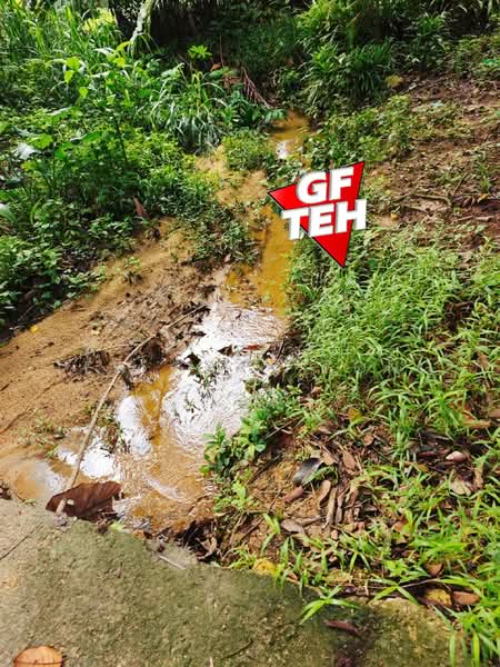 Tanah Pertanian untuk Dijual di Bukit Mertajam (Penang) - Teh Guan Fong - PropertyGuru.com.my