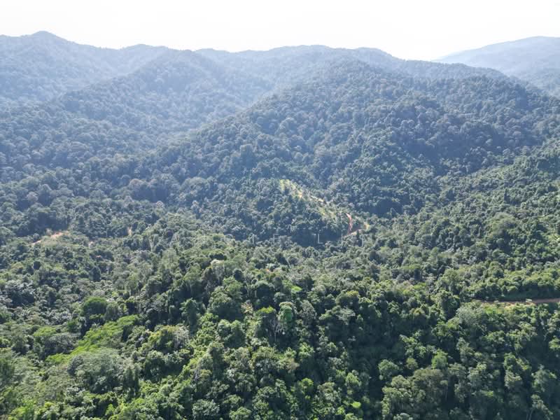Agricultural Land for Sale in Seremban (Negeri Sembilan) - Angie Lim - Exterior - PropertyGuru.com.my