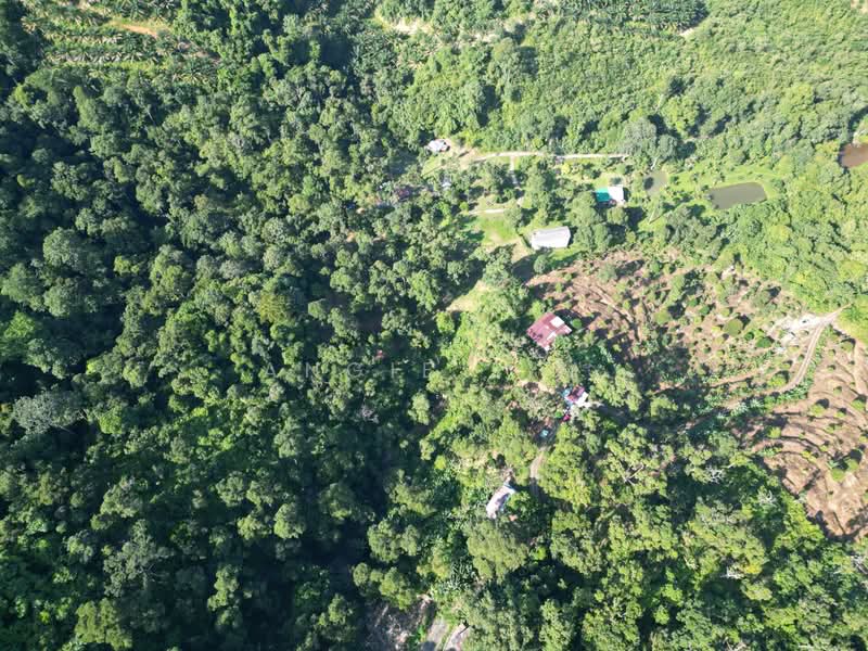 Agricultural Land for Sale in Seremban (Negeri Sembilan) - Angie Lim - Exterior - PropertyGuru.com.my