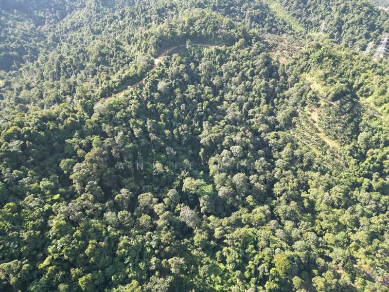 Agricultural Land for Sale in Seremban (Negeri Sembilan) - Angie Lim - PropertyGuru.com.my