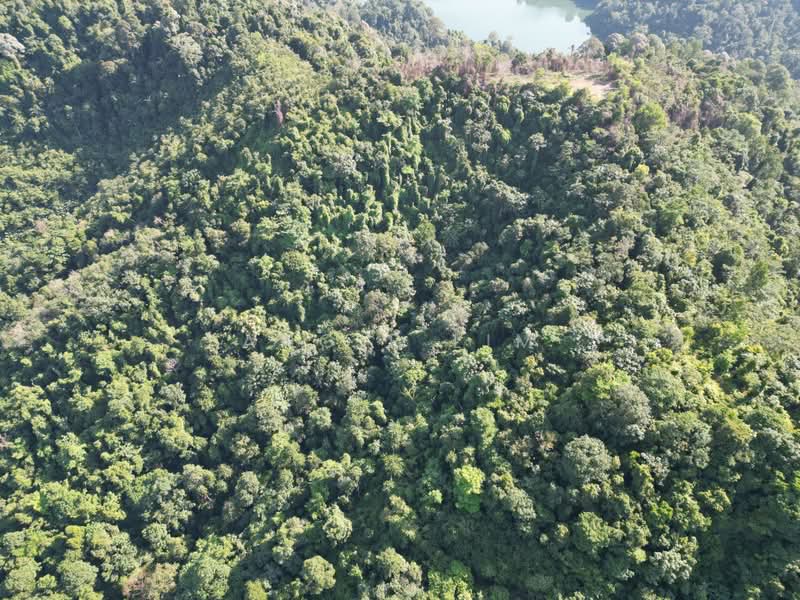 Agricultural Land for Sale in Seremban (Negeri Sembilan) - Angie Lim - Exterior - PropertyGuru.com.my