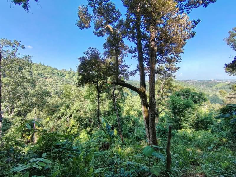 Agricultural Land for Sale in Seremban (Negeri Sembilan) - Angie Lim - Exterior - PropertyGuru.com.my