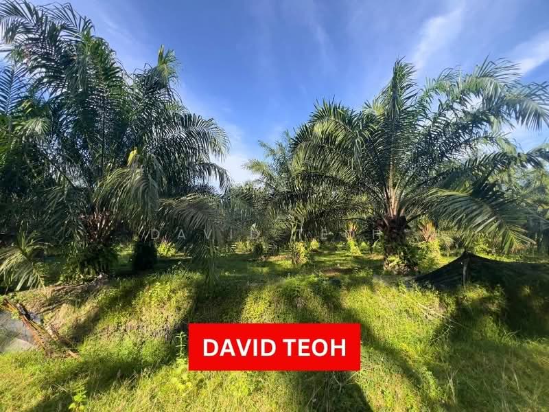 Agricultural Land for Sale in Sungai Jawi (Sungai Jawi) - David Teoh - Exterior - PropertyGuru.com.my
