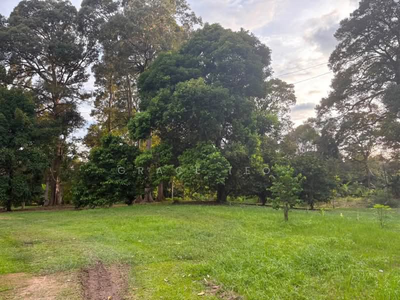 Agricultural Land for Sale in Papar (Sabah) - Grace Teo - Garden - PropertyGuru.com.my