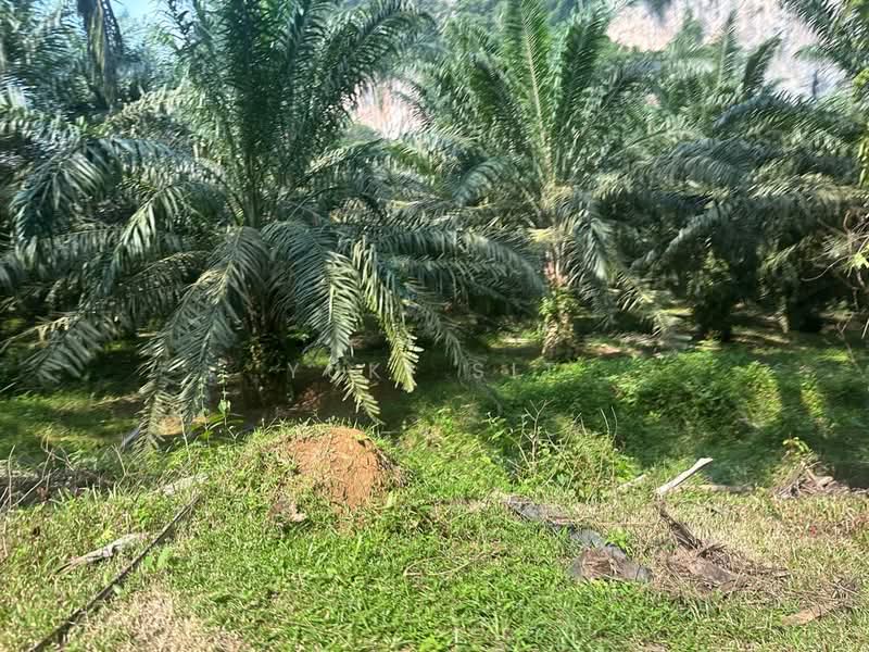 Agricultural Land for Sale in Bandaraya Ipoh (Ipoh) - Yuki Sit - Exterior - PropertyGuru.com.my