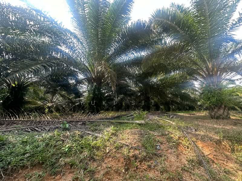 Agricultural Land for Sale in Bandaraya Ipoh (Ipoh) - Yuki Sit - Exterior - PropertyGuru.com.my