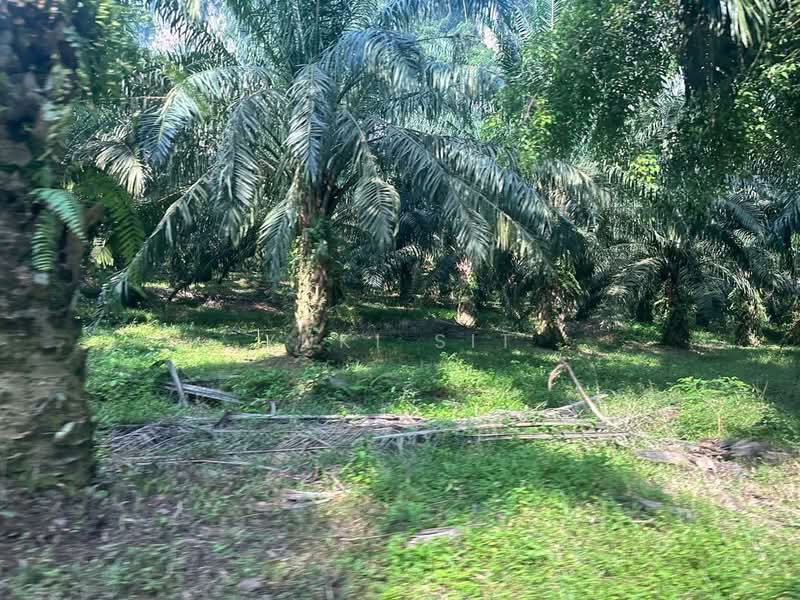 Agricultural Land for Sale in Bandaraya Ipoh (Ipoh) - Yuki Sit - Exterior - PropertyGuru.com.my
