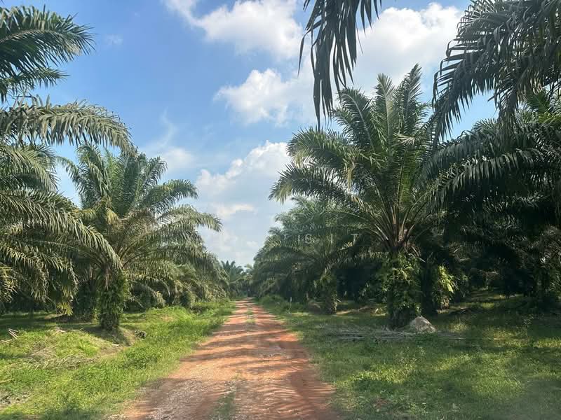 Agricultural Land for Sale in Bandaraya Ipoh (Ipoh) - Yuki Sit - Exterior - PropertyGuru.com.my