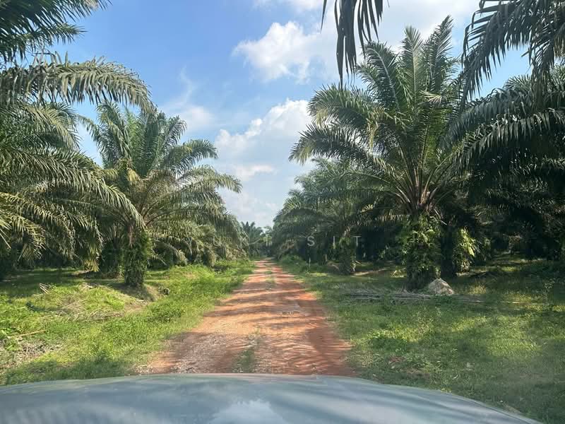 Agricultural Land for Sale in Bandaraya Ipoh (Ipoh) - Yuki Sit - Exterior - PropertyGuru.com.my