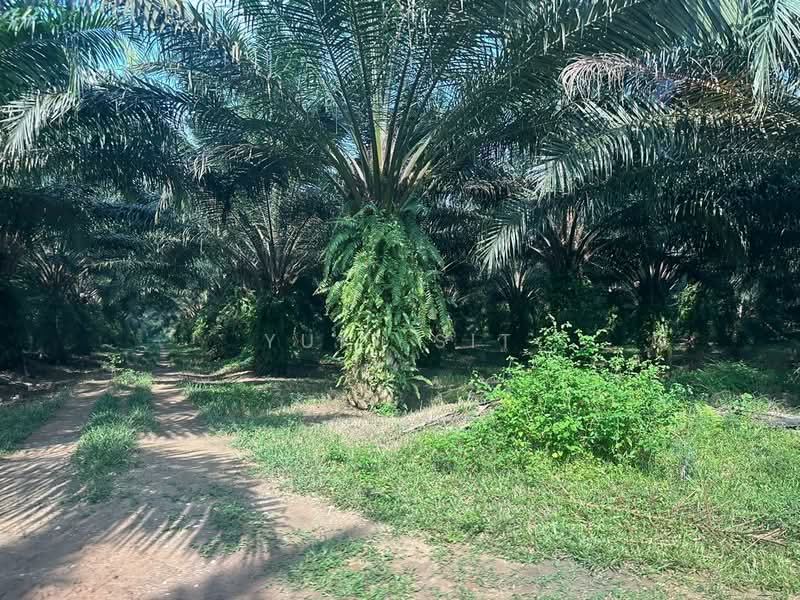 Agricultural Land for Sale in Bandaraya Ipoh (Ipoh) - Yuki Sit - Exterior - PropertyGuru.com.my