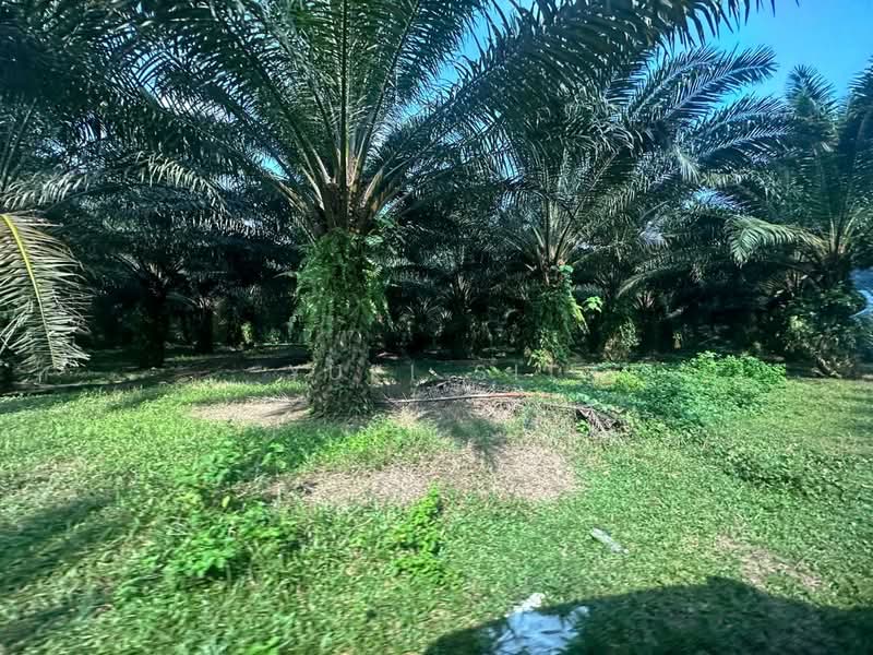 Agricultural Land for Sale in Bandaraya Ipoh (Ipoh) - Yuki Sit - Exterior - PropertyGuru.com.my