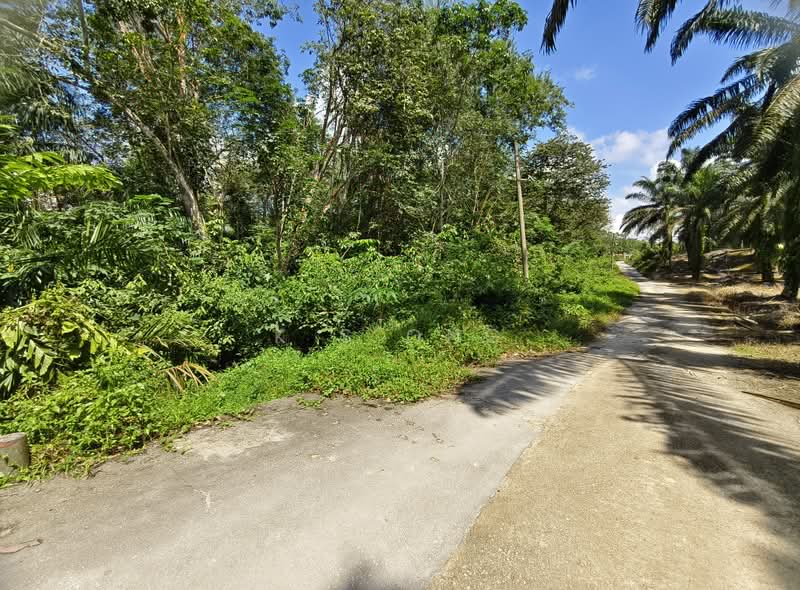 Tanah Perindustrian untuk Dijual di Iskandar Puteri (Nusajaya) (Johor) - K S Ong - PropertyGuru.com.my