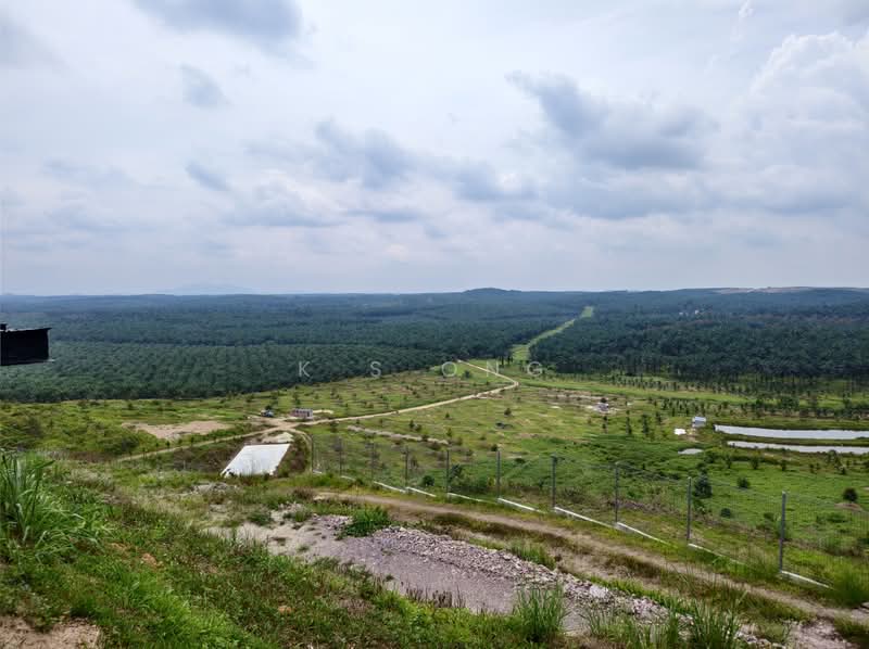 Agricultural Land for Sale in Kluang (Johor) - K S Ong - PropertyGuru.com.my