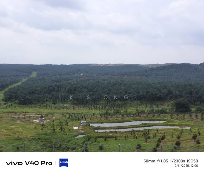 Agricultural Land for Sale in Kluang (Johor) - K S Ong - PropertyGuru.com.my