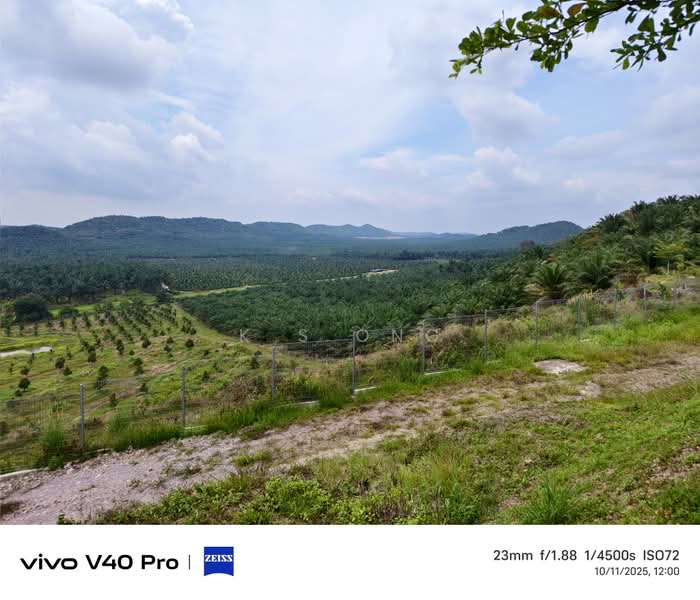Agricultural Land for Sale in Kluang (Johor) - K S Ong - PropertyGuru.com.my