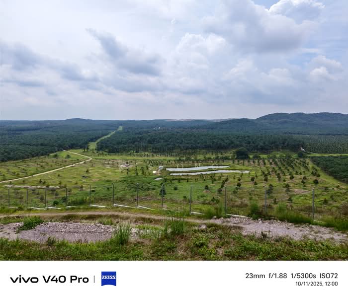 Agricultural Land for Sale in Kluang (Johor) - K S Ong - PropertyGuru.com.my