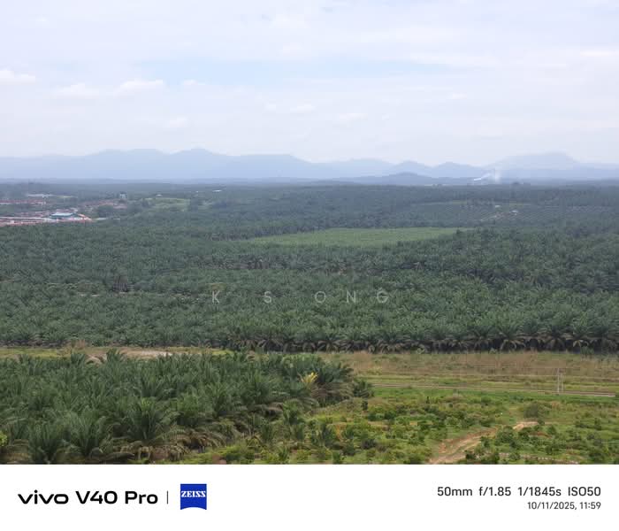 Agricultural Land for Sale in Kluang (Johor) - K S Ong - PropertyGuru.com.my