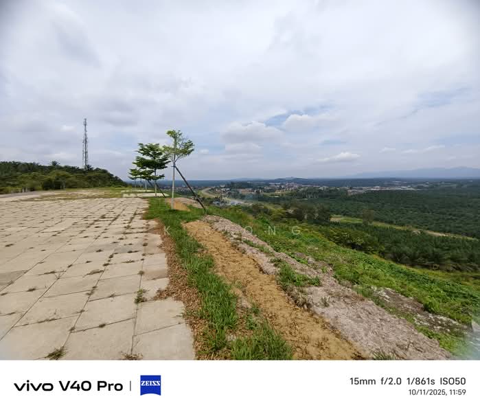 Agricultural Land for Sale in Kluang (Johor) - K S Ong - PropertyGuru.com.my