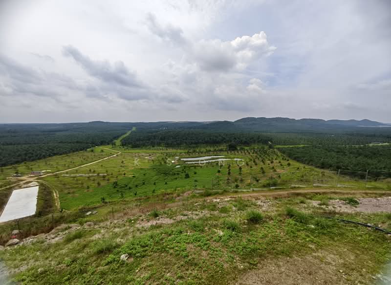 Agricultural Land for Sale in Kluang (Johor) - K S Ong - PropertyGuru.com.my