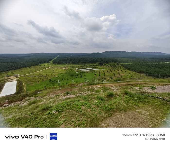 Agricultural Land for Sale in Kluang (Johor) - K S Ong - PropertyGuru.com.my