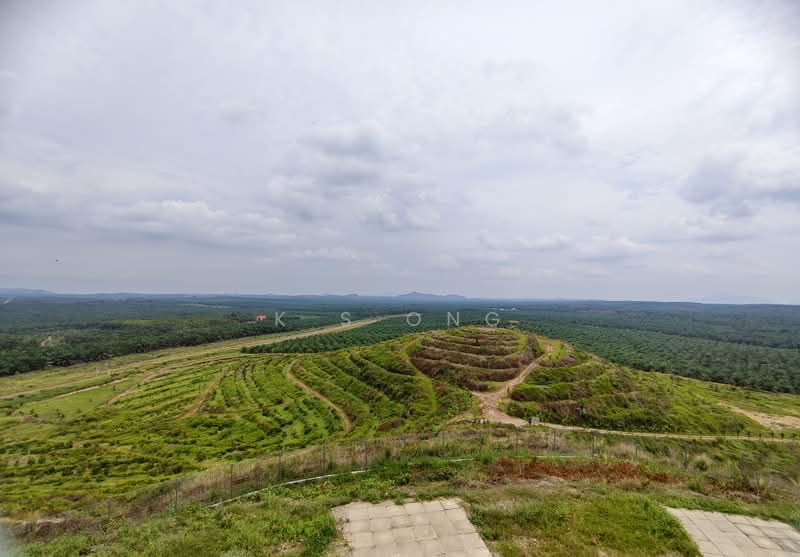 Agricultural Land for Sale in Kluang (Johor) - K S Ong - PropertyGuru.com.my