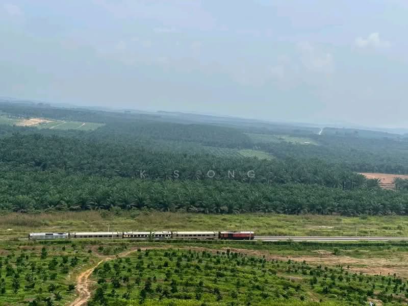 Agricultural Land for Sale in Kluang (Johor) - K S Ong - PropertyGuru.com.my