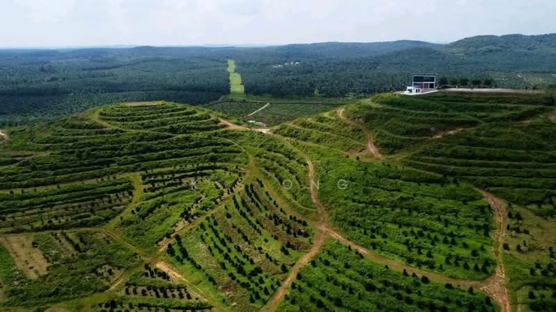 Agricultural Land for Sale in Kluang (Johor) - K S Ong - PropertyGuru.com.my