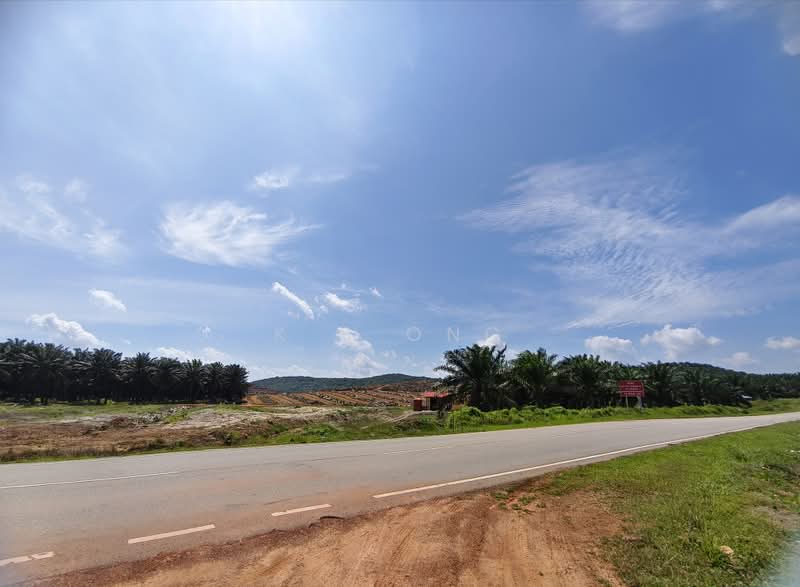 Agricultural Land for Sale in Kluang (Johor) - K S Ong - PropertyGuru.com.my