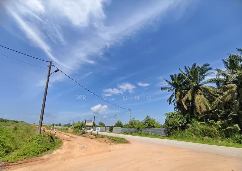 Agricultural Land for Sale in Kluang (Johor) - K S Ong - PropertyGuru.com.my