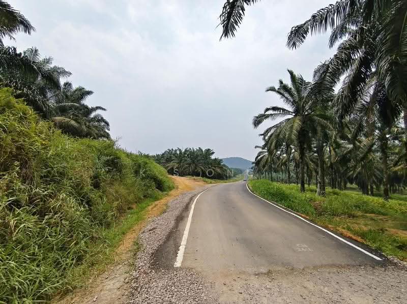 Tanah Pertanian untuk Dijual di Kluang (Johor) - K S Ong - Exterior - PropertyGuru.com.my