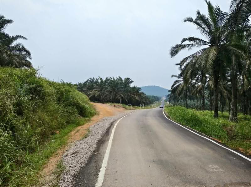 Tanah Pertanian untuk Dijual di Kluang (Johor) - K S Ong - Exterior - PropertyGuru.com.my