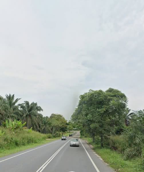 Agricultural Land for Sale in Kluang (Johor) - K S Ong - PropertyGuru.com.my
