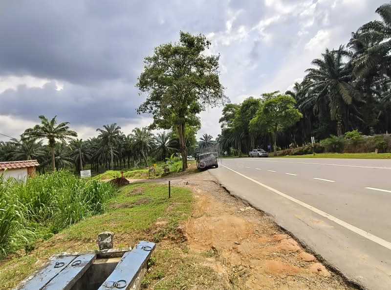 Agricultural Land for Sale in Kluang (Johor) - K S Ong - PropertyGuru.com.my