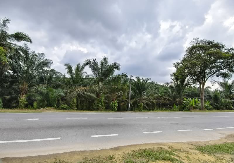 Agricultural Land for Sale in Kluang (Johor) - K S Ong - PropertyGuru.com.my