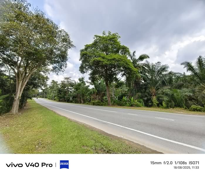 Agricultural Land for Sale in Kluang (Johor) - K S Ong - PropertyGuru.com.my