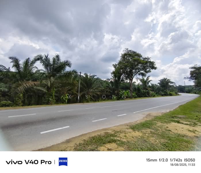 Agricultural Land for Sale in Kluang (Johor) - K S Ong - PropertyGuru.com.my