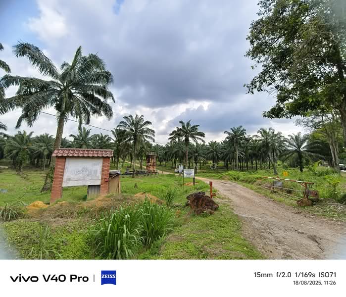 Agricultural Land for Sale in Kluang (Johor) - K S Ong - PropertyGuru.com.my