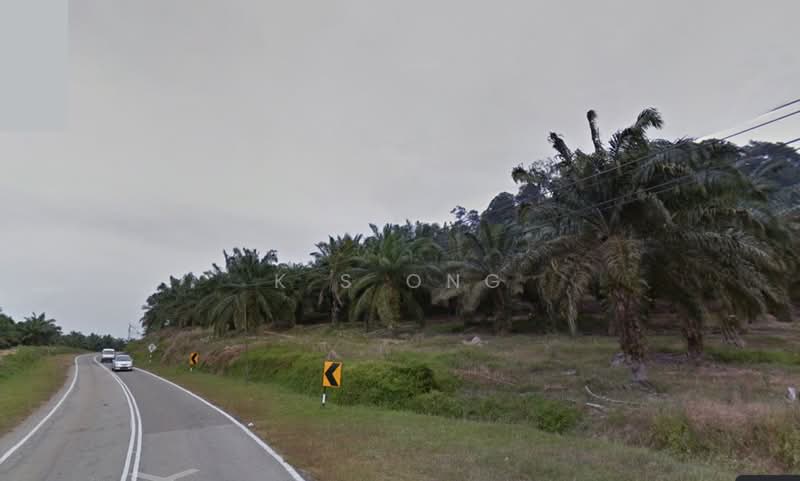 Agricultural Land for Sale in Pagoh (Johor) - K S Ong - PropertyGuru.com.my