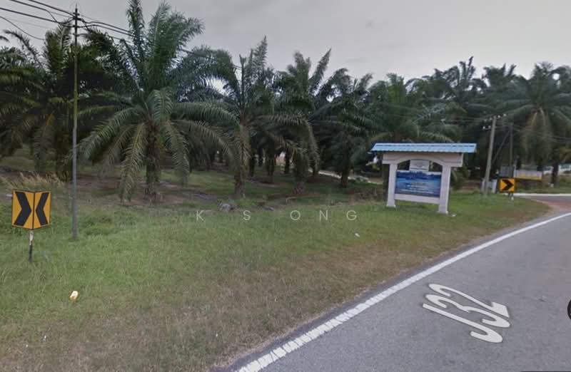 Agricultural Land for Sale in Pagoh (Johor) - K S Ong - Exterior - PropertyGuru.com.my