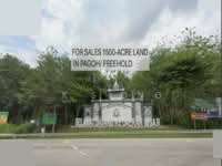 For Sale - 1500-ACRE OIL PALM PLANTATION IN PAGOH JOHOR FOR SALES