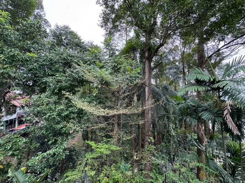 Bungalow House untuk Dijual di Sierramas (Sungai Buloh) - Vince Tan - PropertyGuru.com.my