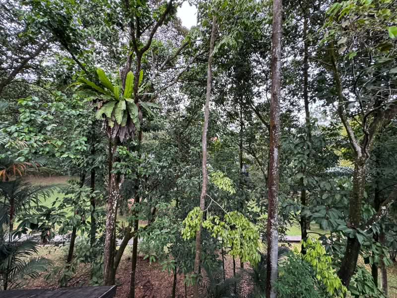 Bungalow House untuk Dijual di Sierramas (Sungai Buloh) - Vince Tan - PropertyGuru.com.my