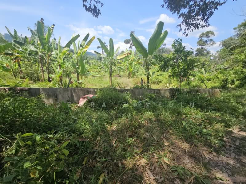 Tanah Pertanian untuk Dijual di Kampung Lubok Kelubi (Hulu Langat) - Adzura Zamedin - PropertyGuru.com.my