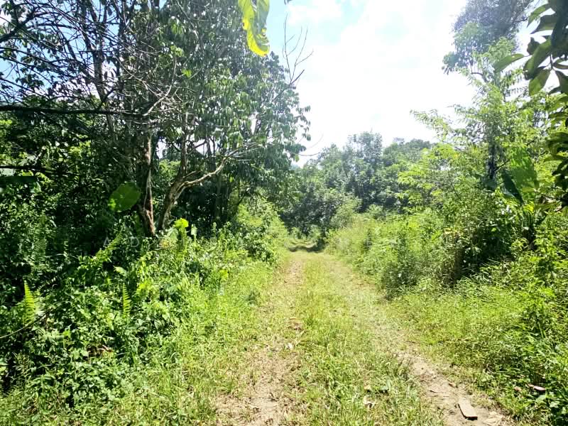 Tanah Pertanian untuk Dijual di Kampung Lubok Kelubi (Hulu Langat) - Adzura Zamedin - PropertyGuru.com.my
