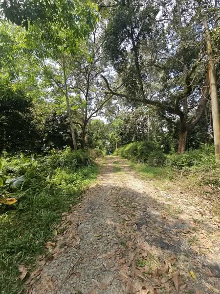 Tanah Pertanian untuk Dijual di Kampung Lubok Kelubi (Hulu Langat) - Adzura Zamedin - PropertyGuru.com.my