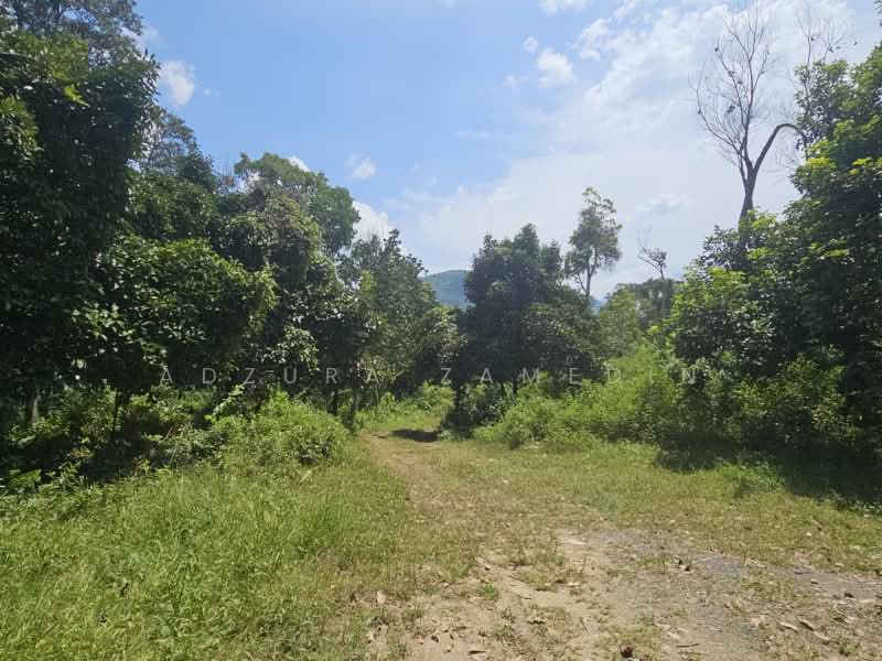 Tanah Pertanian untuk Dijual di Kampung Lubok Kelubi (Hulu Langat) - Adzura Zamedin - PropertyGuru.com.my