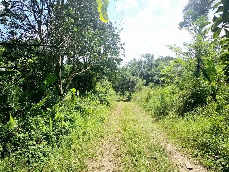 Tanah Pertanian untuk Dijual di Kampung Lubok Kelubi (Hulu Langat) - Adzura Zamedin - PropertyGuru.com.my